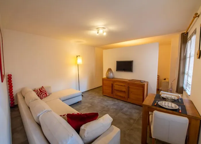 Superb In The Center Of Tropez